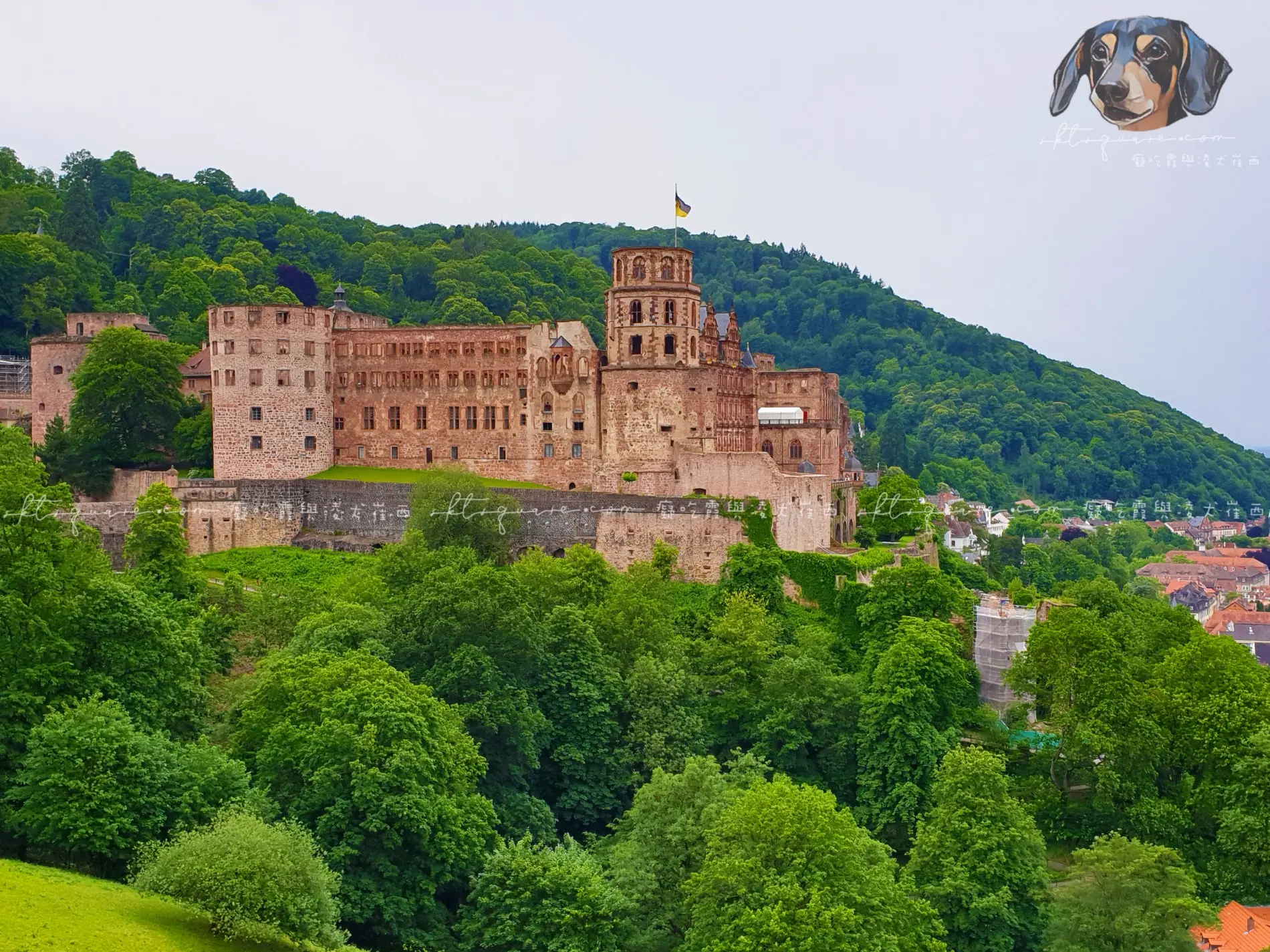 海德堡城堡 Schloss Heidelberg